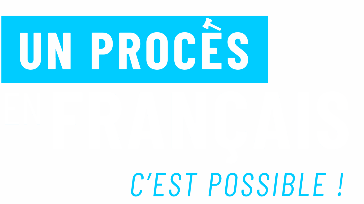 Text Un procès en français, c'est possible!